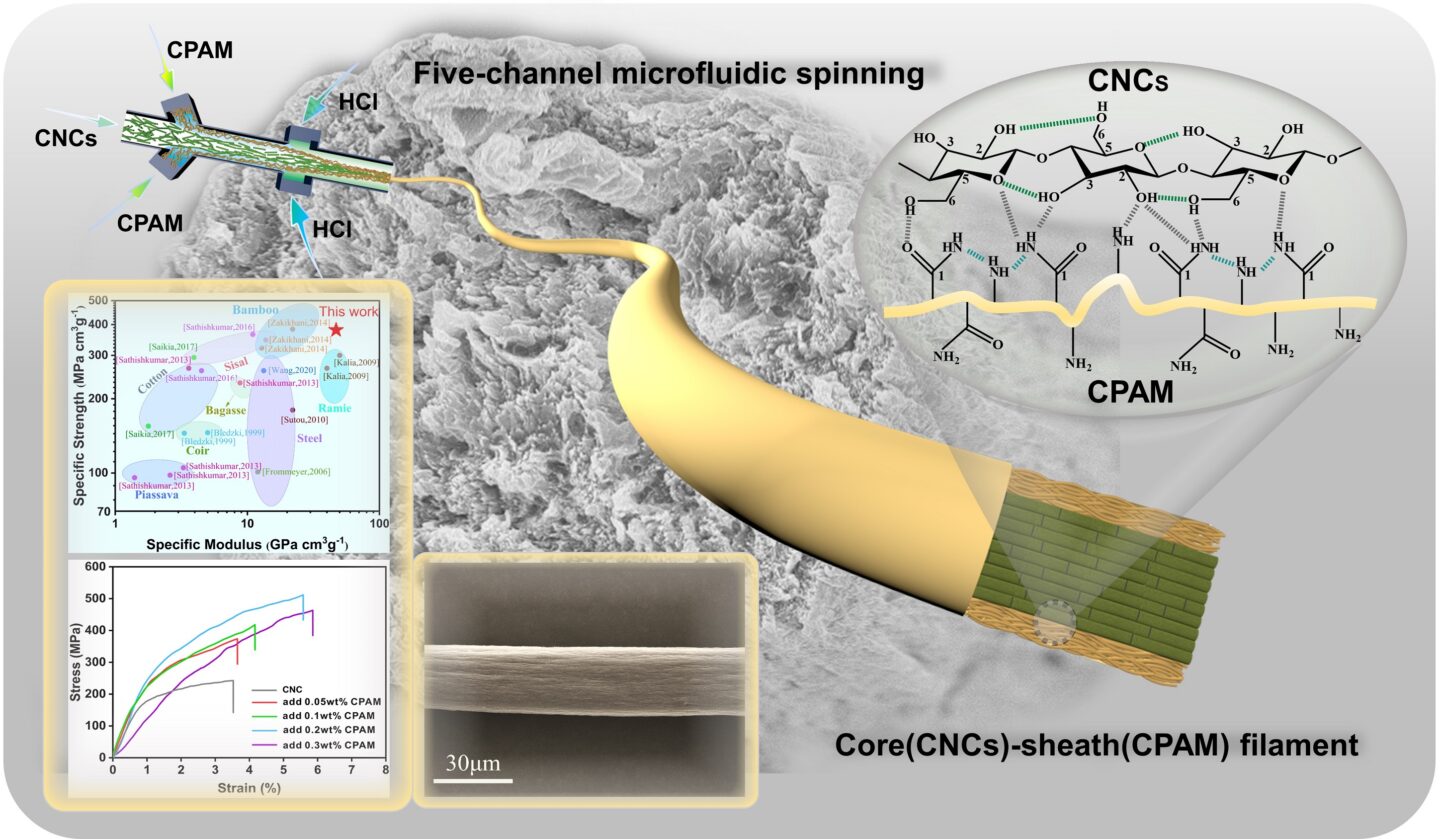 Aligned Cellulose Nanocrystal Composite Filament With High Tensile