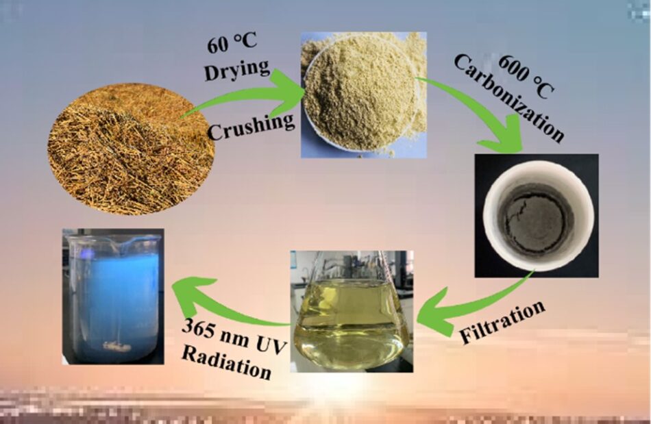 Synthesis Of Carbon Quantum Dots Based On Quinoa Straw And Their