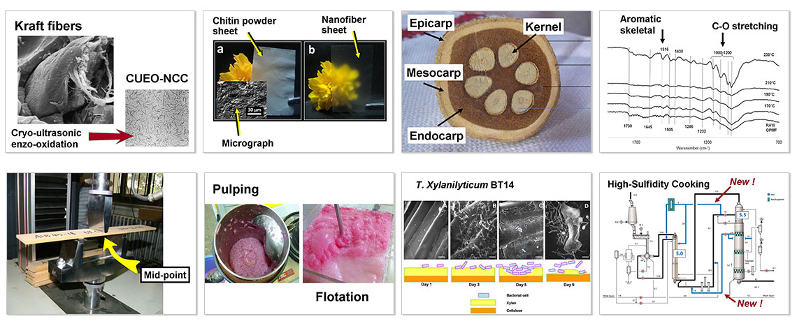 Image Samples