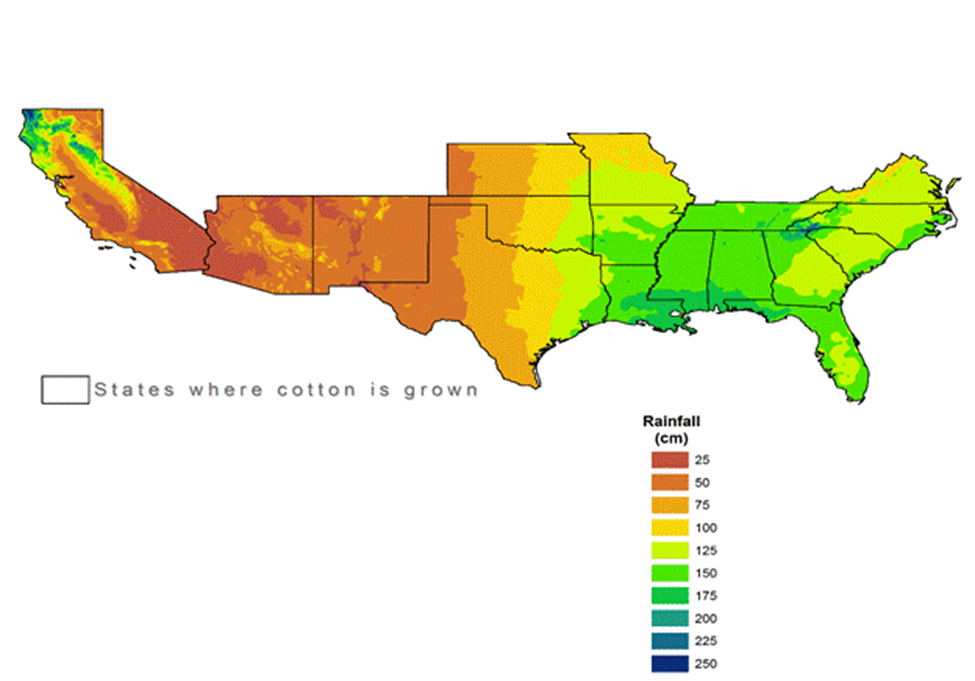 Cotton production in the United States - Wikipedia