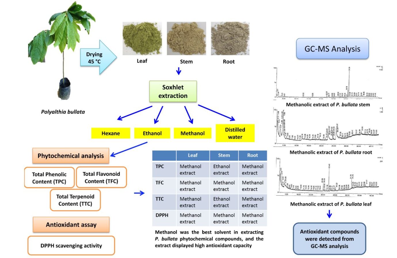 Solvent extraction and its effect on phytochemical yield and