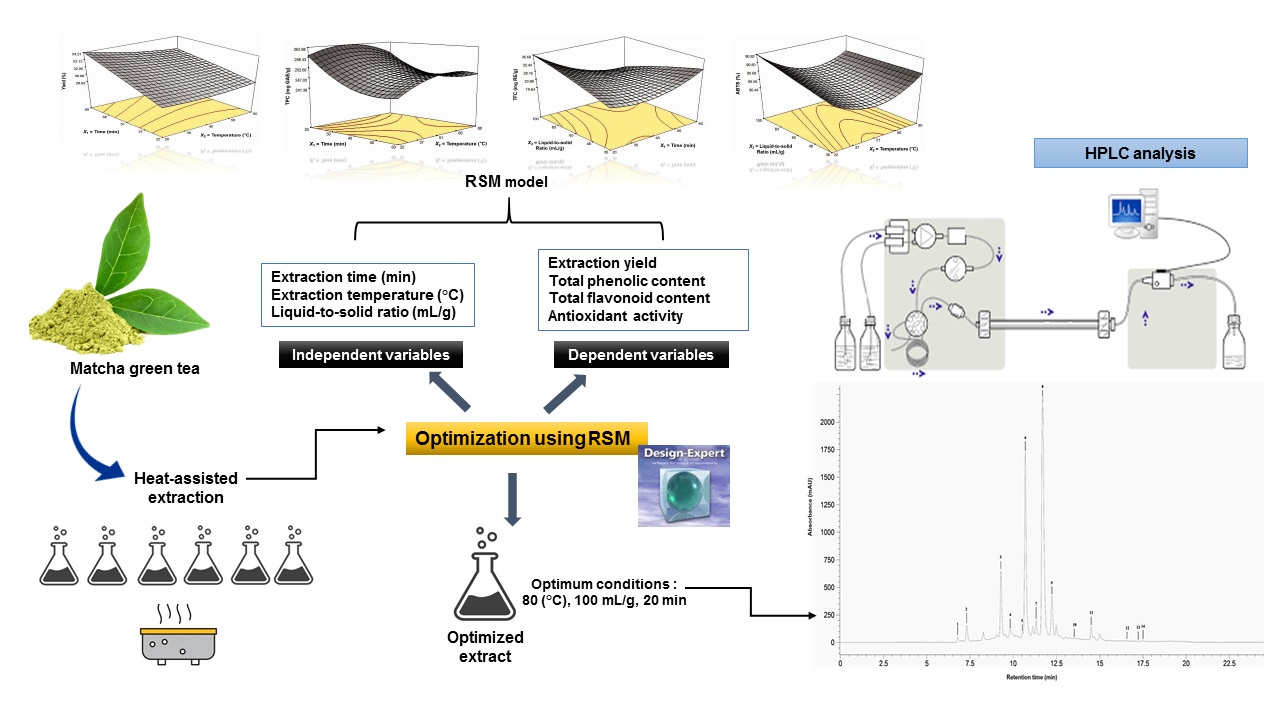 Optimized green extraction conditions of matcha green tea (Camellia