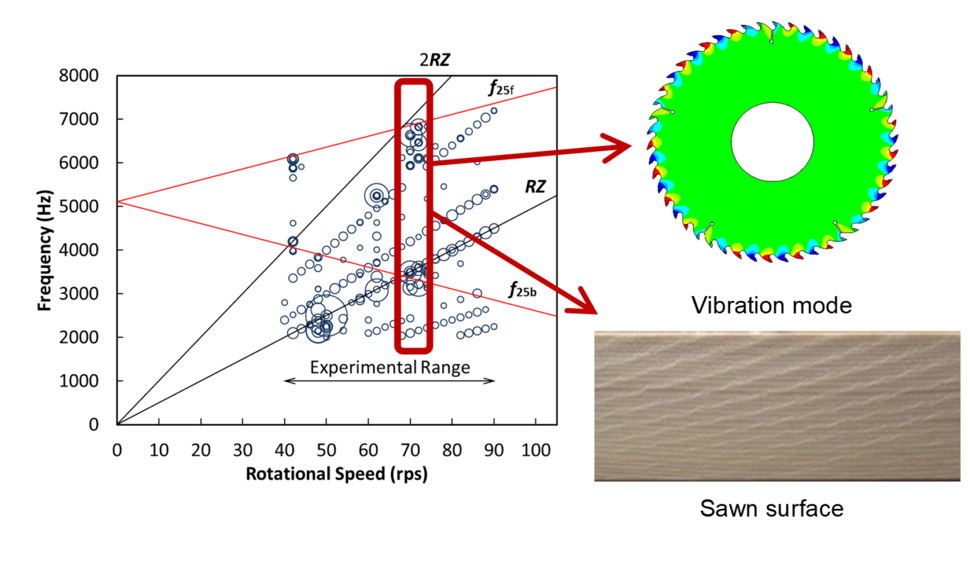 Characteristics of selfexcited alternatetooth vibration of circular