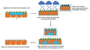 Application of cellulosic fiber in soil erosion mitigation: Prospect and  challenges :: BioResources