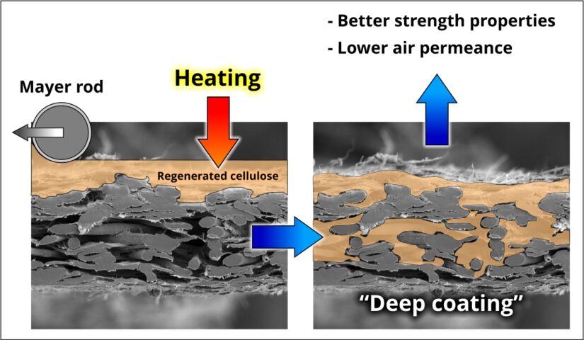 A comparative study of the effect of cellulose-based deep coating and ...