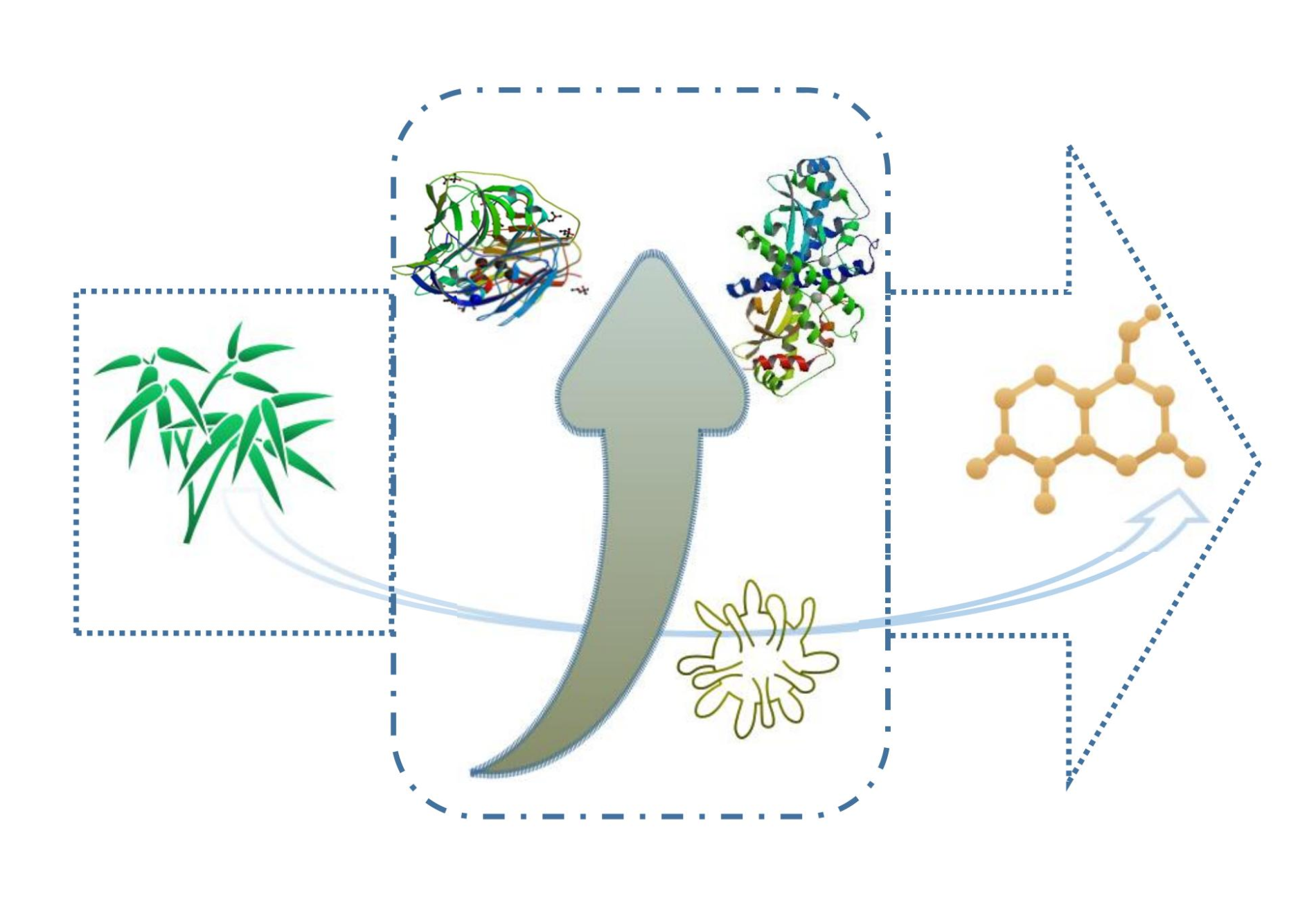 Mechanism of lignin degradation via white rot fungi explored using