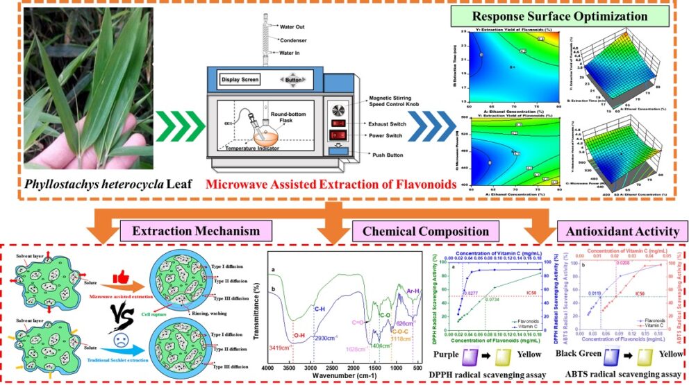 Microwaveassisted extraction of flavonoids from Phyllostachys