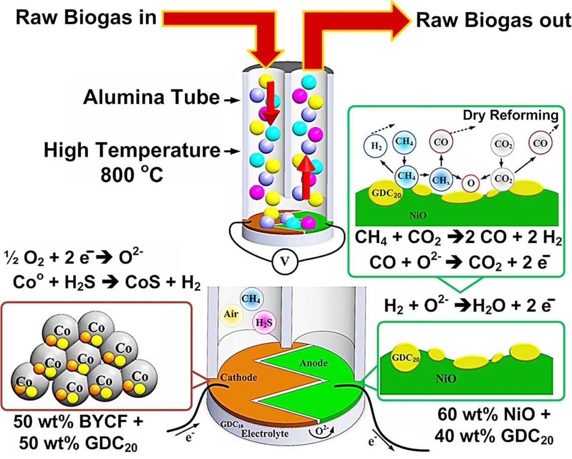 Analysis of electric signals from microsolid oxide fuel cell sensors