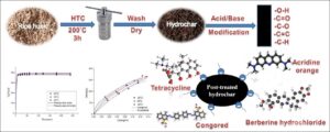 Hydrothermal treatment of maize: Changes in physical, chemical, and  functional properties - ScienceDirect