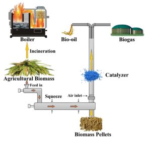 6 Sustainable production of bio ethanol from agroindustrial waste