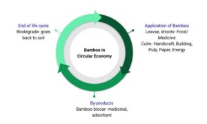 What is bioethanol fuel (Bamboo)? How it is produced? Principle