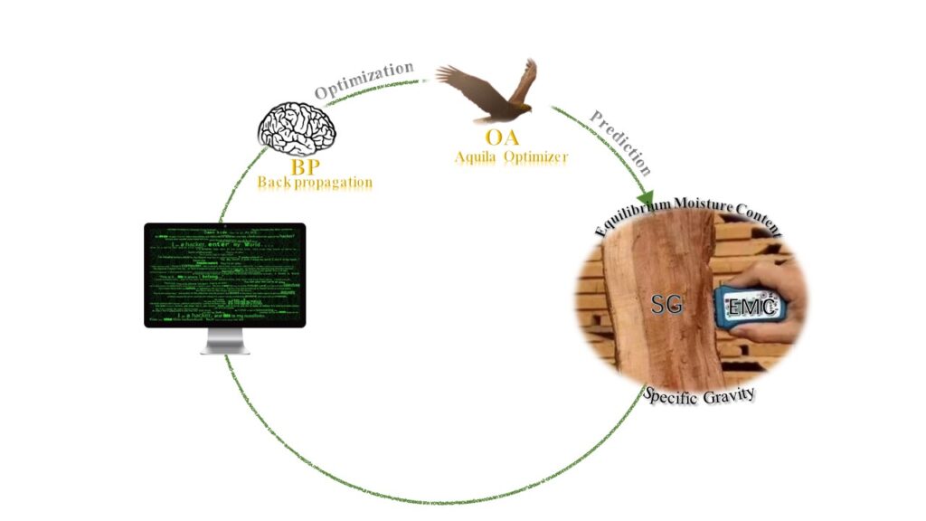 Prediction of the equilibrium moisture content and specific gravity of ...