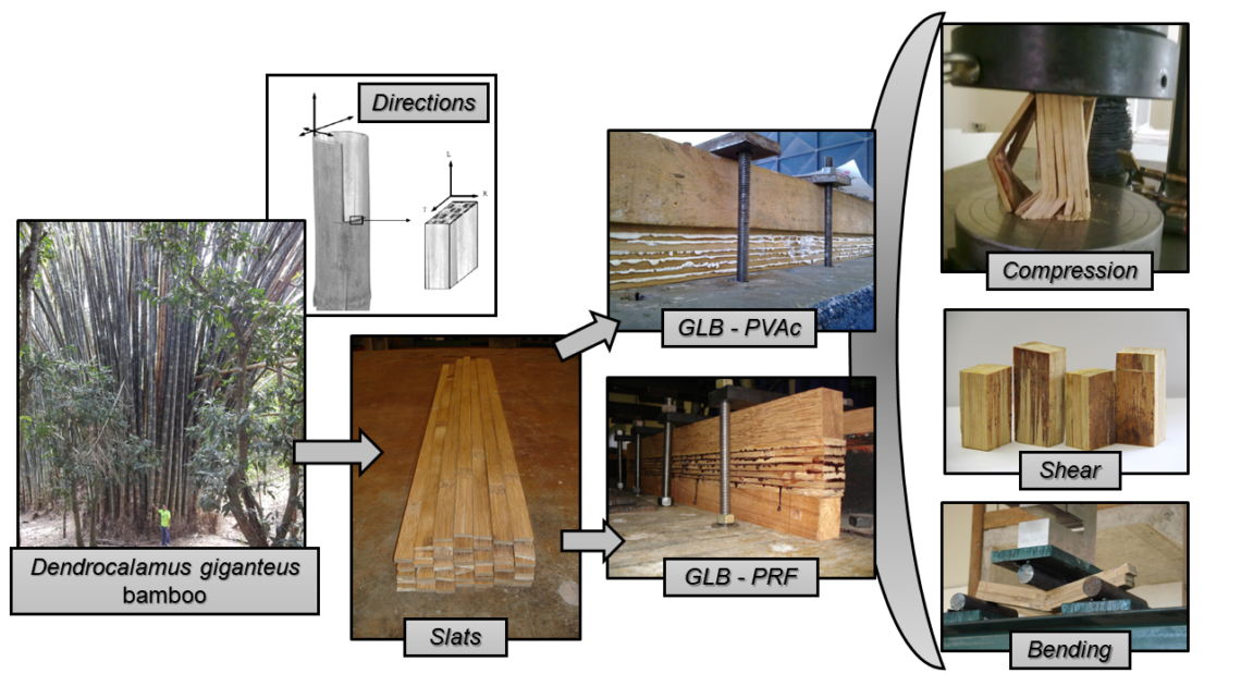 Physical And Mechanical Properties Of Glued Laminated Bamboo ...