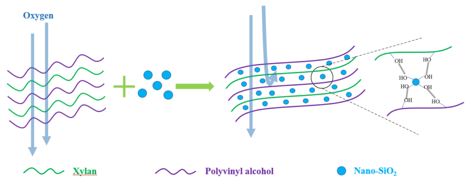 Nano-SiO2-modified Xylan-PVOH-based Composite Films: Mechanical And ...