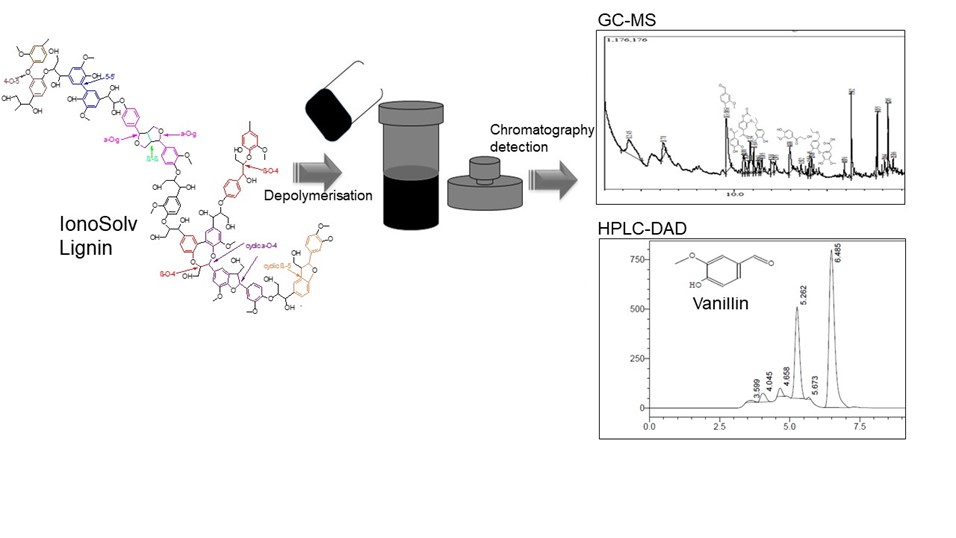 Rice husk lignin to vanillin: IonoSolv as a way forward for value-added ...