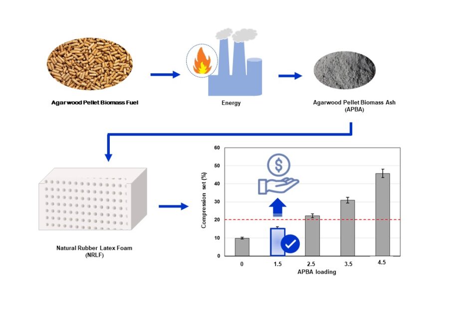 Properties and cost of natural rubber latex foam using biomass ash 