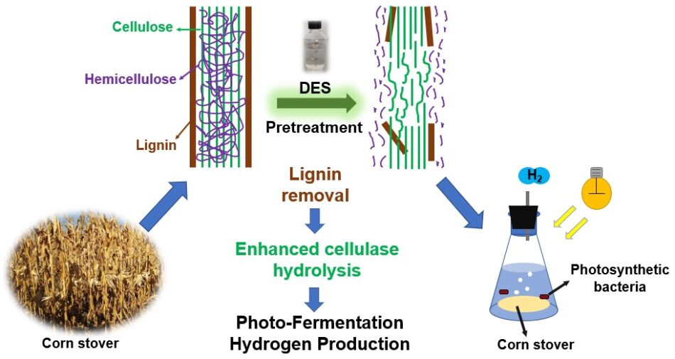 Comparative analysis of photo-fermentation hydrogen production from ...